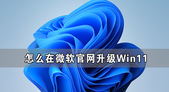 怎么在微软官网升级Win11