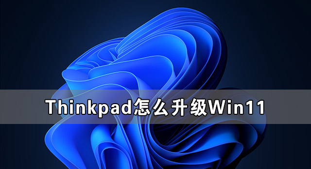 Thinkpad怎么升级Win11