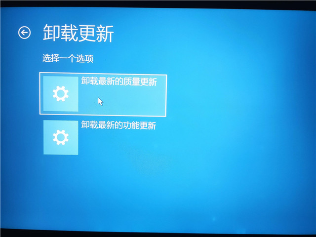 Win11怎么退回上一个版本