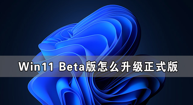 Win11 Beta版转正式版的方法