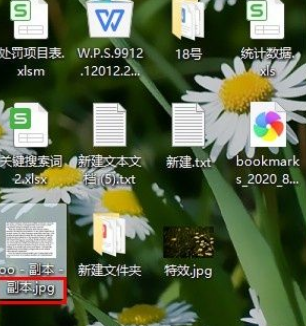 Win10系统文件显示后缀名的方法