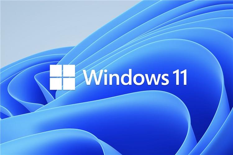 Win11预览版和正式版有什么区别