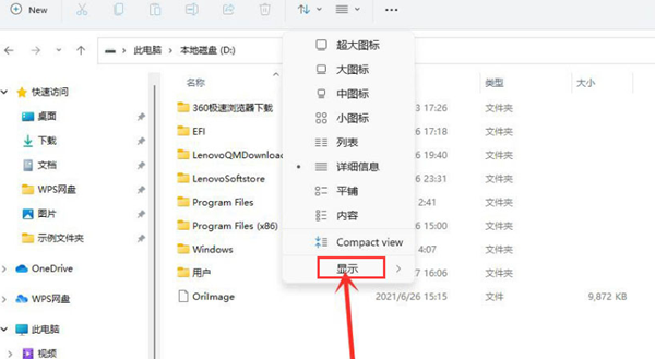 Win11如何查看隐藏项目?