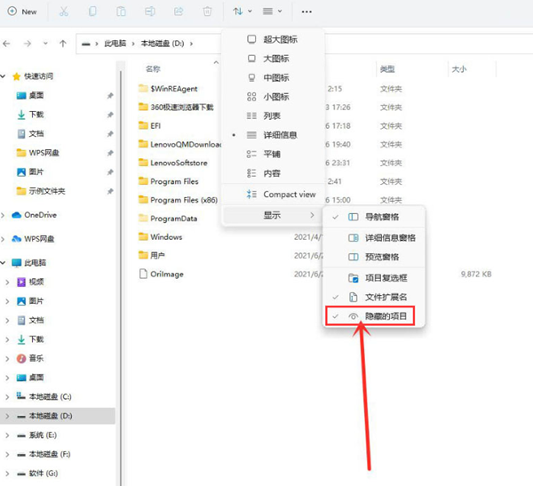 Win11如何查看隐藏项目?