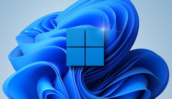 Win11如何查看隐藏项目?