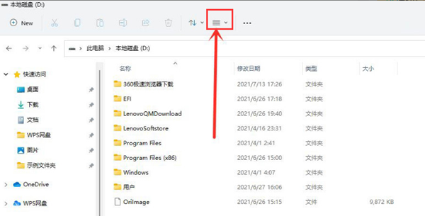 Win11如何查看隐藏项目?