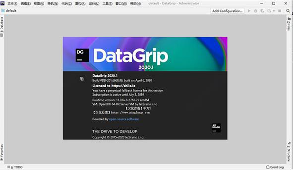 JetBrains DataGrip