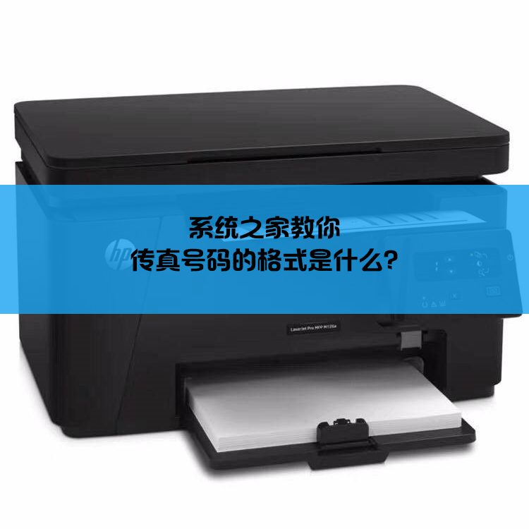 传真号码的格式是什么?