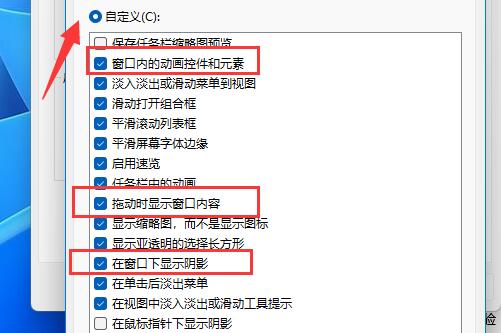 Win11如何设置窗口动画效果?