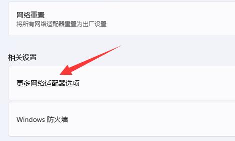 Win11如何修改DNS地址?