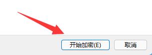 Win11系统分区如何加密?