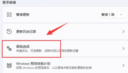 Win11如何设置绝对带宽?Win11设置绝对带宽的方法
