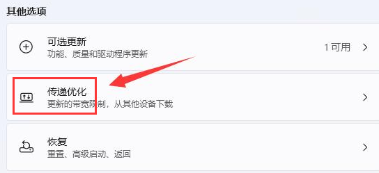 Win11如何设置绝对带宽?Win11设置绝对带宽的方法
