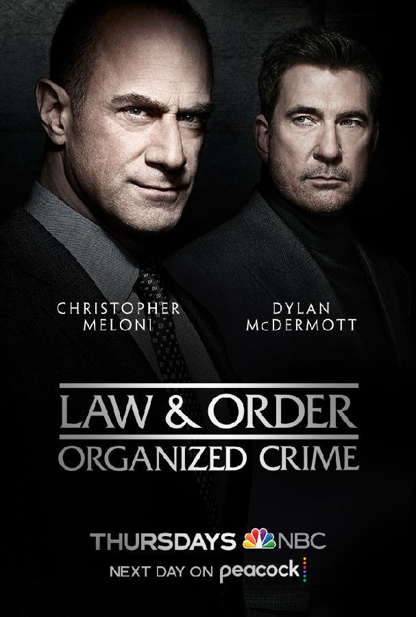Law.And.Order.Organized.Crime.S02 法律与秩序:组织犯罪1.jpg