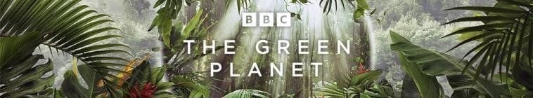 The.Green.Planet.S01 绿色星球2.jpg