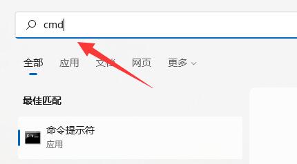 Win11提示0xc0000142错误代码怎么办?