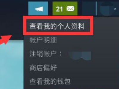 Steam如何隐藏个人游戏动态？