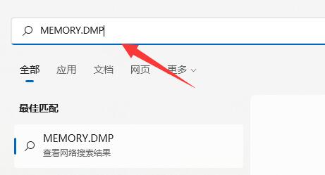 Win11蓝屏文件如何查看?