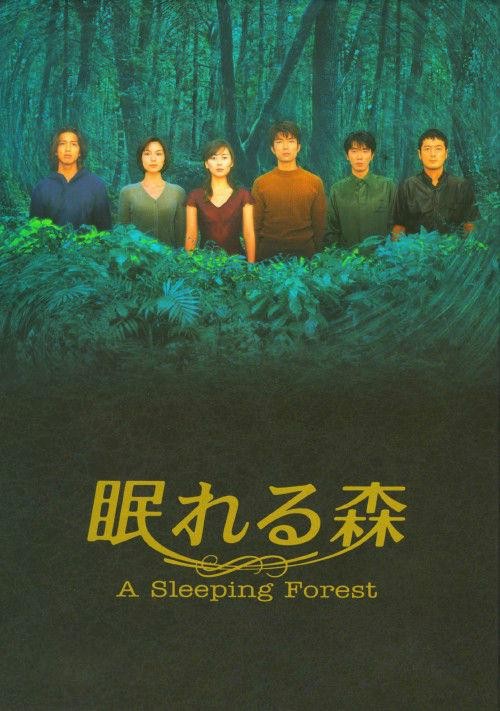 沉睡的森林.jpg