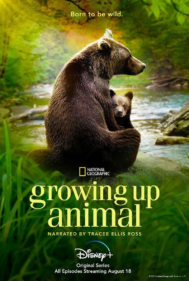 Growing.Up.Animal.S01 动物成长1.jpg