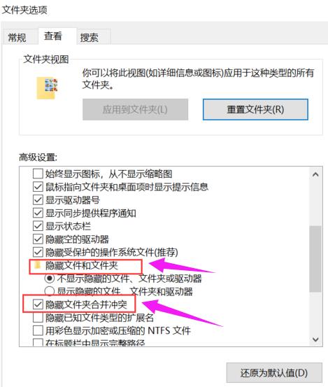 Win11系统文件夹选项位置