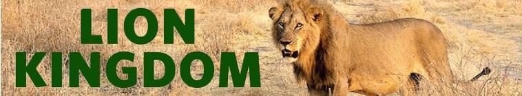 Lion.Kingdom.S01 2.jpg