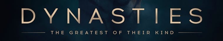 Dynasties.2018.S02 王朝2.jpg