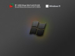 萝卜家园 Ghost Win11 64位 专业精简版 V2022.04