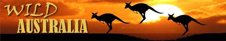 Wild.Australia.S01 野性澳大利亚2.jpg
