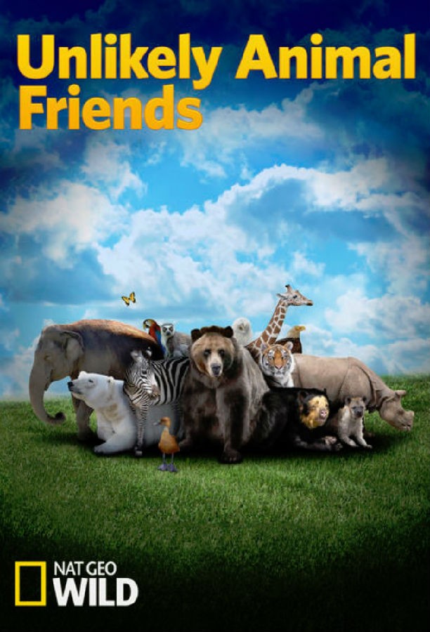 Unlikely.Animal.Friends.S01 不可思议的好朋友1.jpg