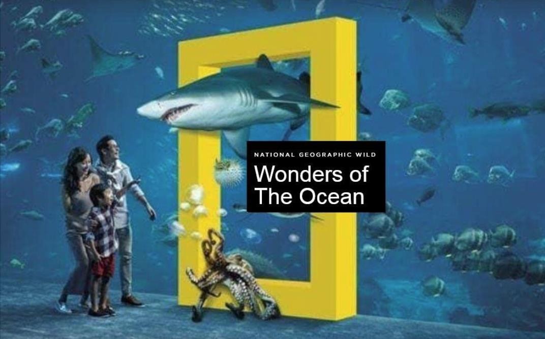 Wonders.of.the.Ocean.S01 海洋奇观1.jpg