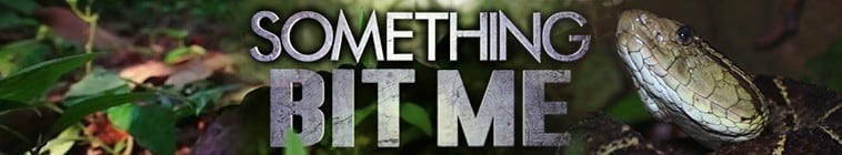 Something.Bit.Me.S01 2.jpg