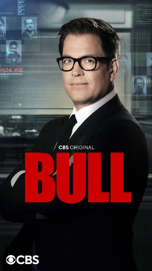 Bull.2016.S06 庭审专家1.jpg