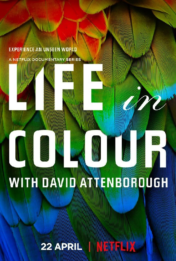 Attenboroughs.Life.in.Colour.S01 生命之色1.jpg