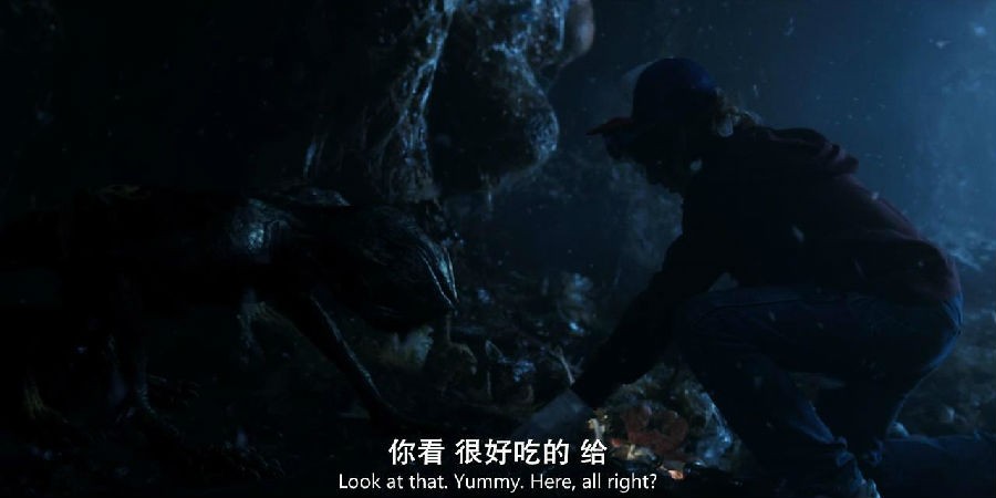 Stranger.Things.S02E09.2017.HD720P.X264.AAC.English.CHS-ENG.MF_20171112085305.JPG
