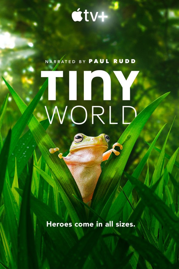 Tiny.World.S02 小小世界0.jpg