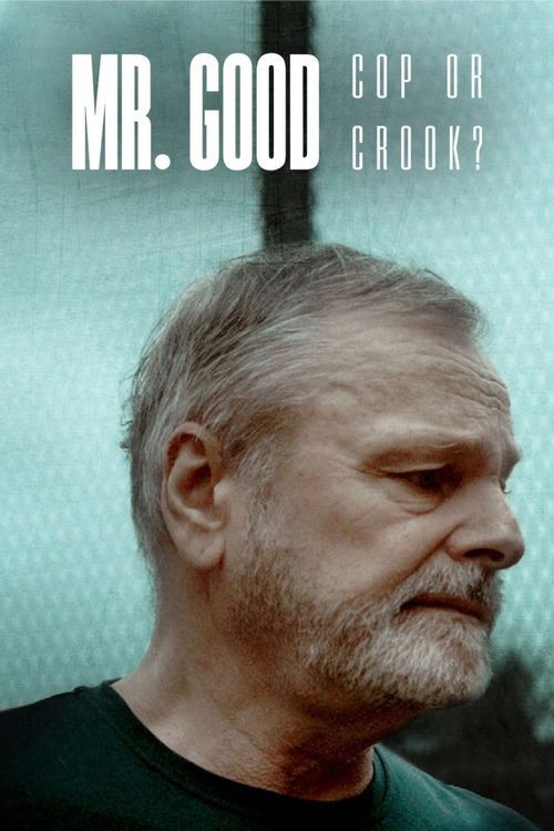 Mr.Good.Cop.or.Crook.S01 古德先生:警察还是骗子1.jpg