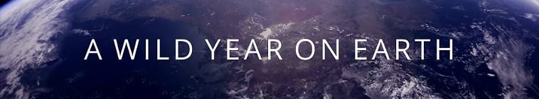 A.Wild.Year.On.Earth.S01 狂野地球2.jpg