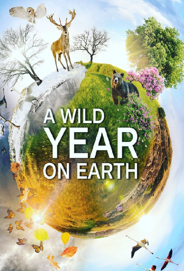 A.Wild.Year.On.Earth.S01 狂野地球1.jpg