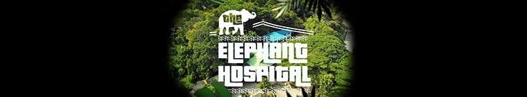 Elephant.Hospital.S02 大象医院2.jpg