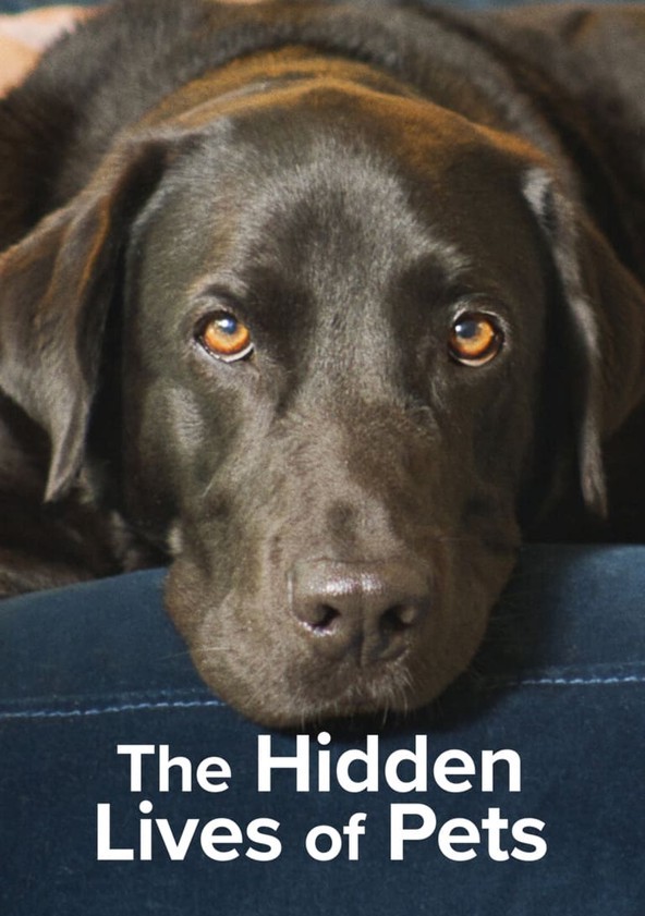 The.Hidden.Lives.of.Pets.S01 宠物的秘密生活1.jpg