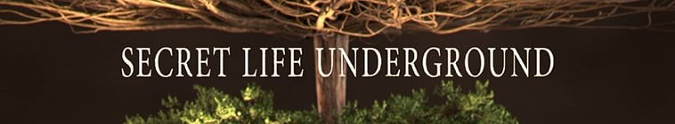 Secret.Life.Underground.S01 地下的隐秘生命2.jpg