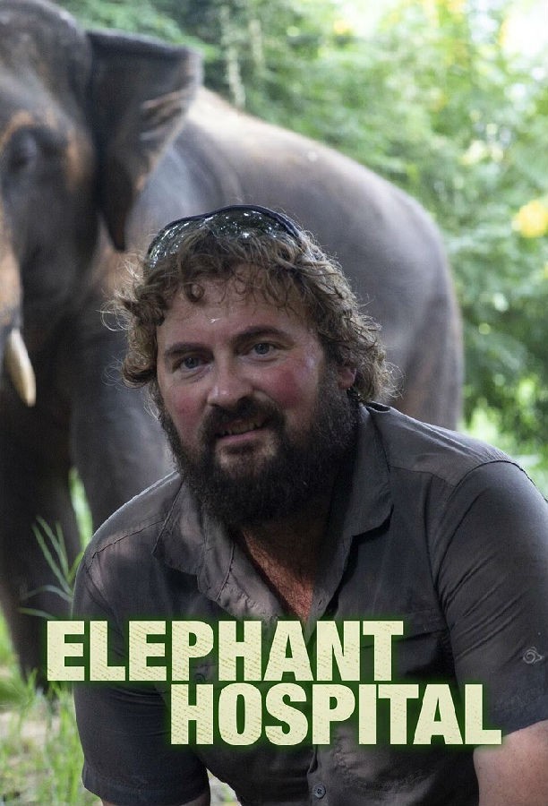 Elephant.Hospital.S02 大象医院1.jpg