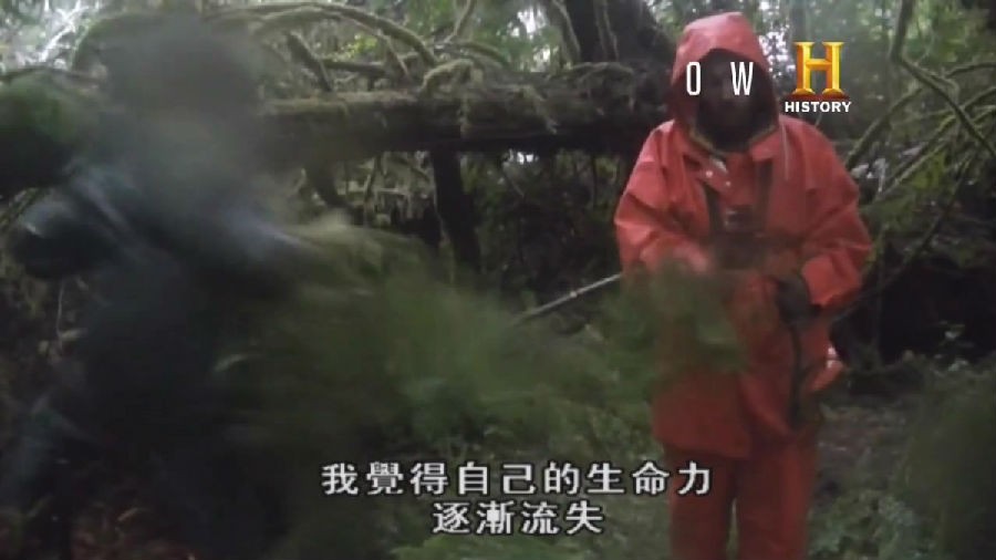 6156_YU5SG3YW2YJMSAT.jpg