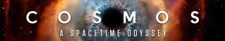 Cosmos.A.Spacetime.Odyssey.S01.jpg