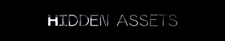 Hidden.Assets.S01 神秘资产2.jpg