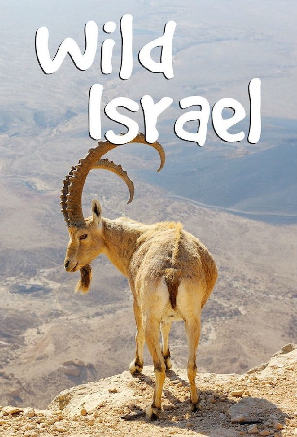 Wild.Israel.S01 野性以色列1.jpg
