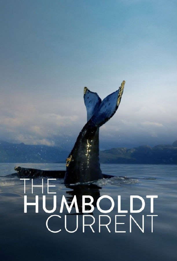 The.Humboldt.Current.S01 1.jpg