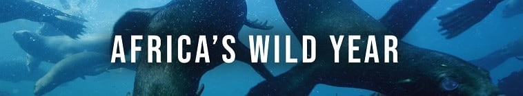 Africas.Wild.Year.S01 2.jpg