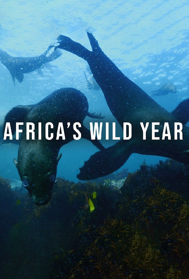 Africas.Wild.Year.S01 1.jpg
